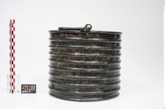 Foto von Bronzerippenziste (NHMW-PRAE-025670)